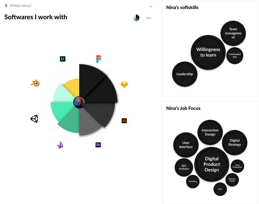 skills and strengths visualisation