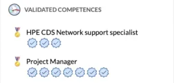 Validated Competences in My Skills, showing two lists with their earned badges